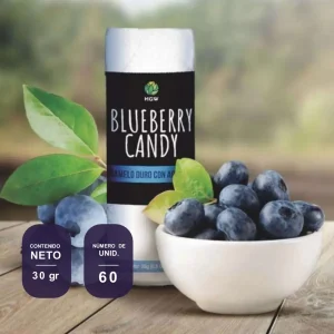 Blueberry Candy Caramelo Duro Con Arandano HGW1
